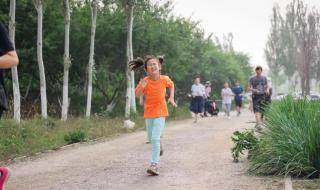 沉浸式游览中国美丽乡村