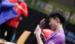 王楚钦为什么是太子