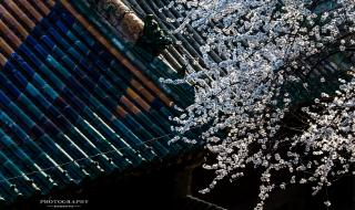 2月4号立春是什么时间