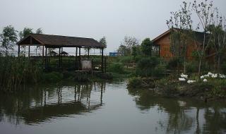 阳澄湖莲花岛农家乐