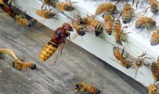 男人女人40分钟视频