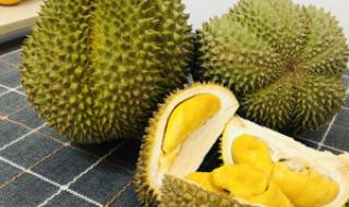 甲仑榴莲的特点是什么
