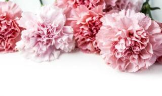 四个字暖心夸赞老师