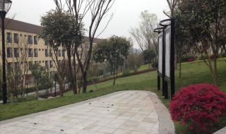 西大附中小升初试题 西大附中小升初试题